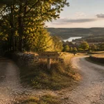 Perigord vert ou noir : route entre forêt dense et prairies au golden hour